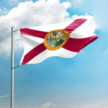 Florida Zastavo 3*5 M 90*150 CM državah ZDA Zastav Design po Meri, Notranja Zunanja Dekor Transparenti Poliester UV Odpornost Dvojno Žico
